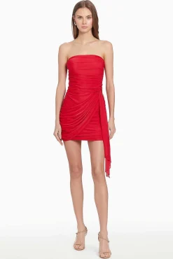 Anja Dress In Mesh