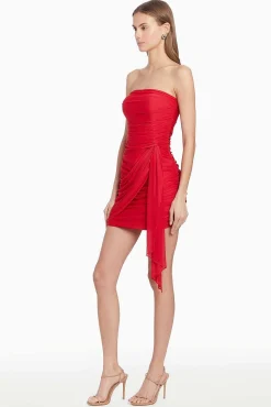Anja Dress In Mesh