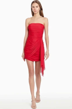 Anja Dress In Mesh