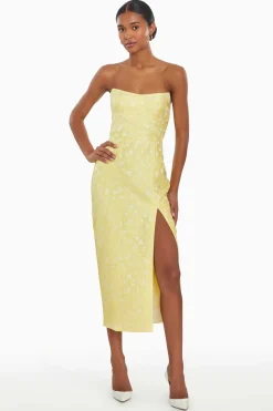 Ivy Dress