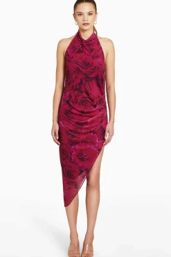Samba Midi Dress In Printed Mesh