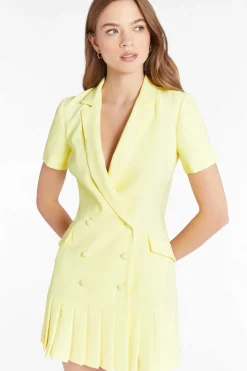 Short Sleeve Mesha Dress